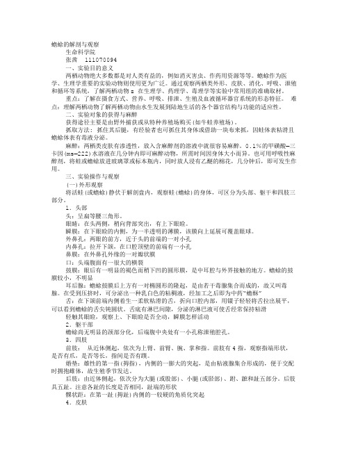 蟾蜍实验报告