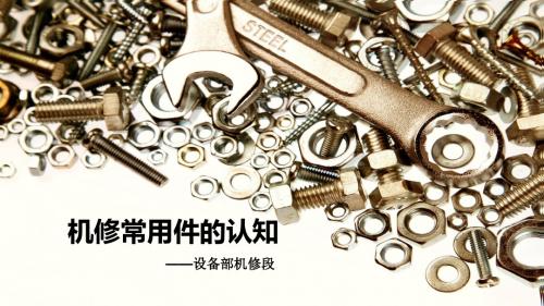 机修常用件培训材料