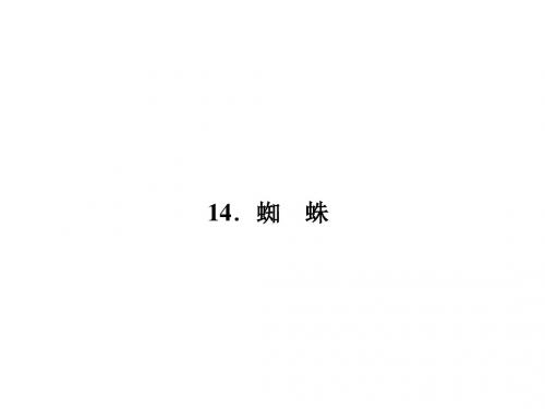 语文版课件14.蜘 蛛