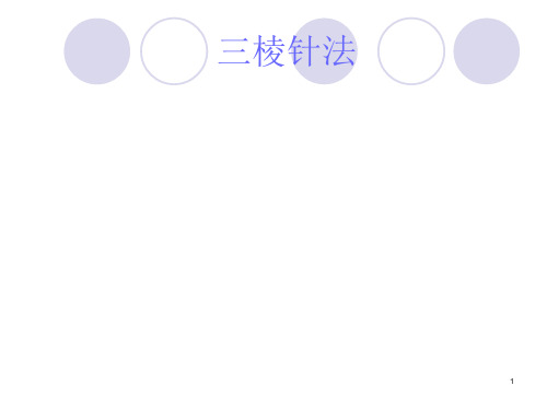 中医三棱针法ppt课件