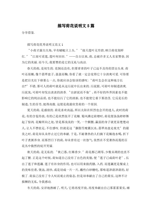 描写荷花说明文5篇