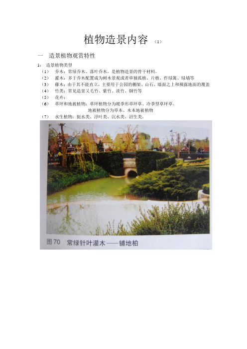 植物造景内容1