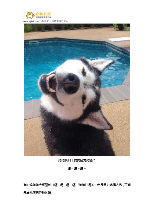 狗狗打嗝知识
