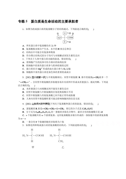 2022年新高考生物专题训练：专练5 蛋白质是生命活动的主要承担者 (含解析)