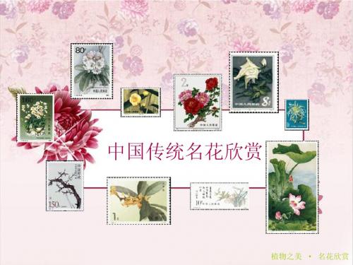 中国传统名花欣赏·杜鹃