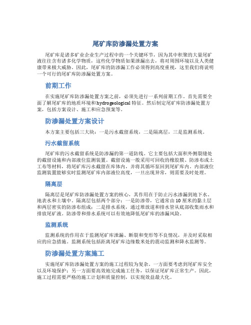 尾矿库防渗漏处置方案