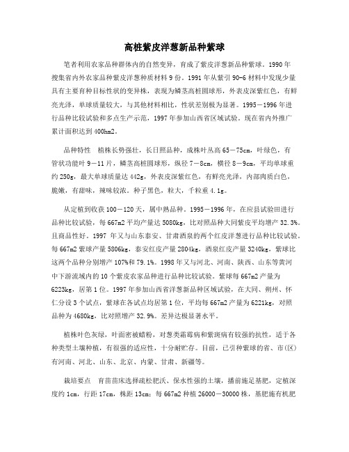 高桩紫皮洋葱新品种紫球