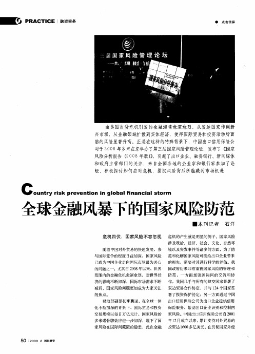 全球金融风暴下的国家风险防范