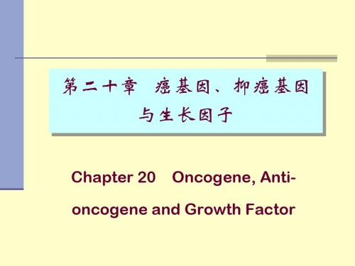 癌基因、抑癌基因与生长因子