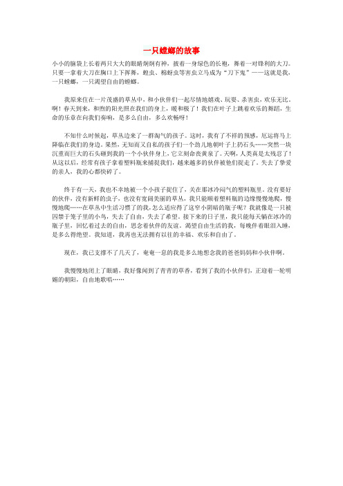小学语文作文 一只螳螂的故事