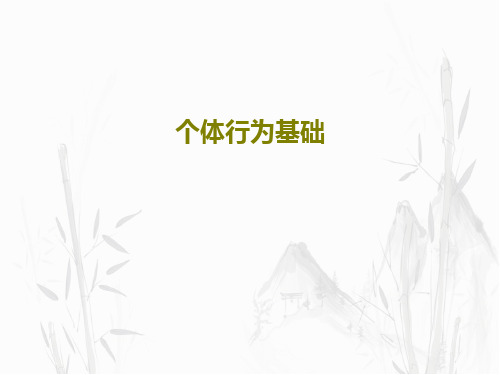 个体行为基础46页PPT