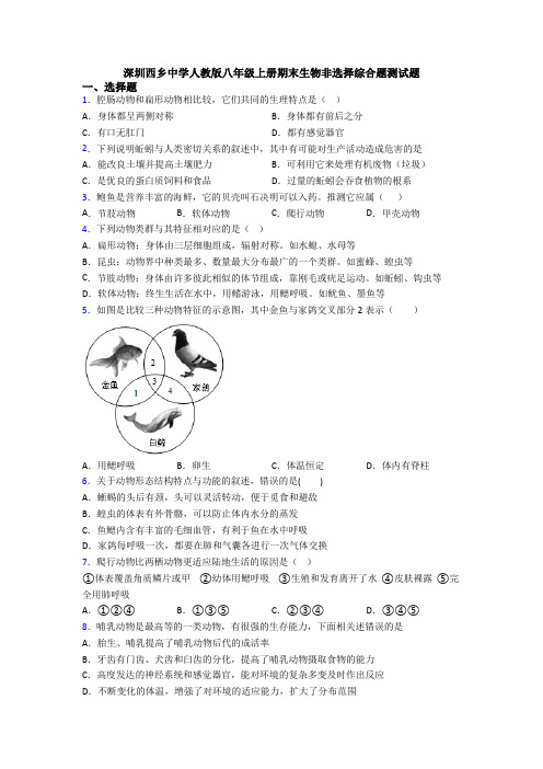 深圳西乡中学人教版八年级上册期末生物非选择综合题测试题