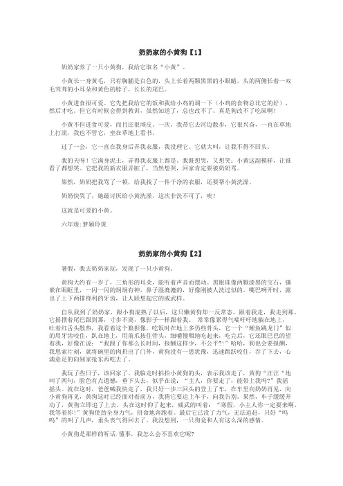 奶奶家的小黄狗作文
