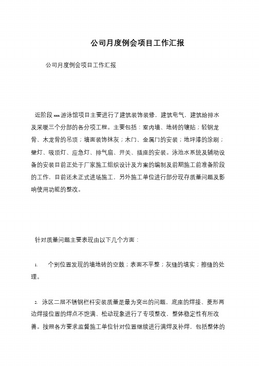 公司月度例会项目工作汇报