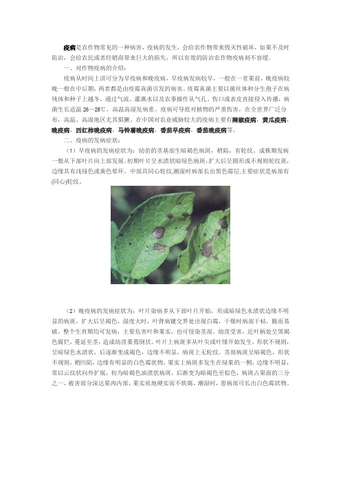 疫病的防治方法