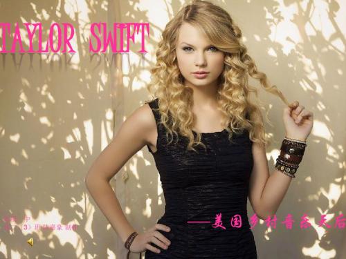 Taylor Swift&Owl CityPPT