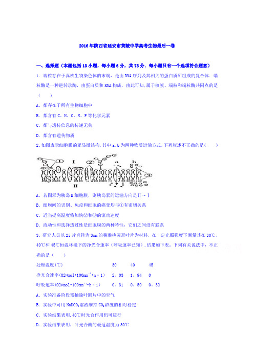 陕西省延安市黄陵中学2016届高三生物最后一卷 含解析