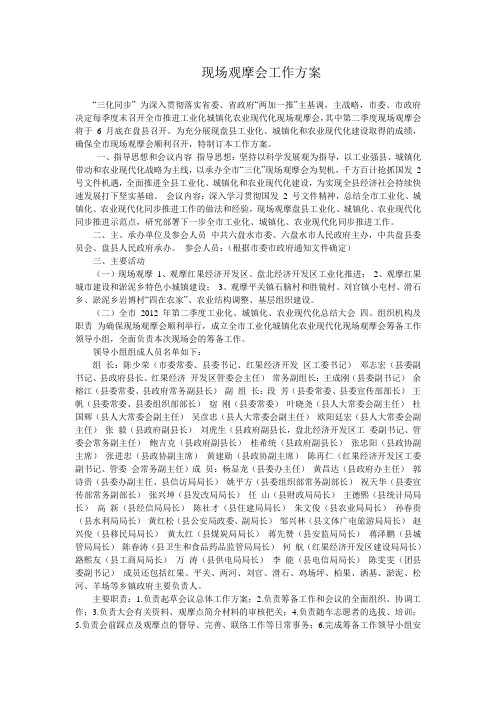 现场观摩会工作方案
