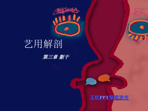 艺用解剖之躯干的骨骼肌肉ppt