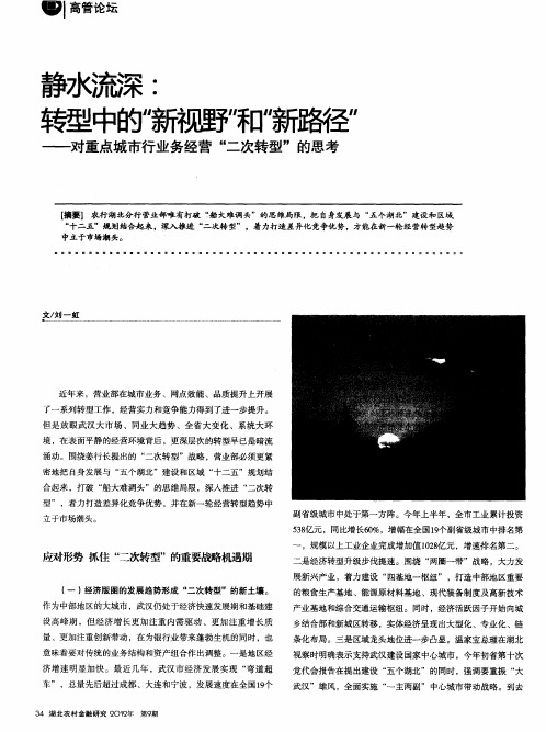 静水流深：转型中的“新视野”和“新路径”——对重点城市行业务经营“二次转型”的思考