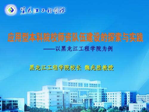 应用型本科院校师资队伍建设的探索与实践
