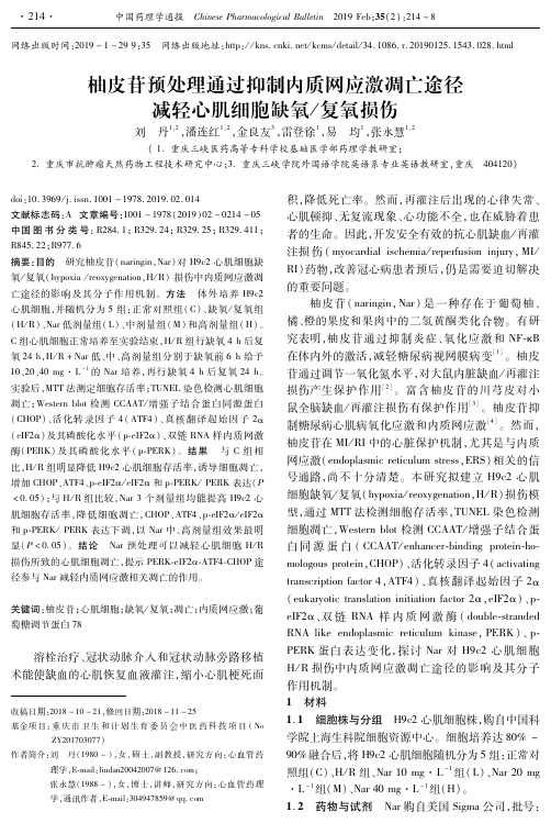柚皮苷预处理通过抑制内质网应激凋亡途径减轻心肌细胞缺氧复氧损伤