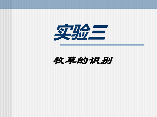 03实验三牧草的识别2008 饲草生产学教学课件