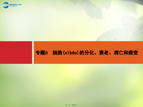 高三生物二轮总复习 专题能力训练卷6 细胞的分化、衰老、凋亡和癌变