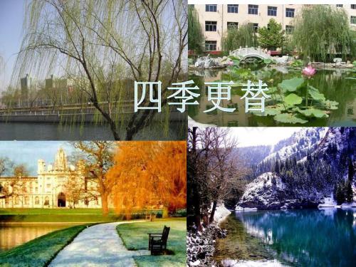 青岛版小学科学六年级上册《四季更替》课件