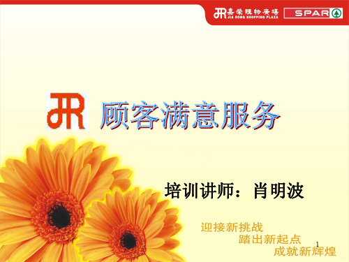 顾客满意服务PPT课件