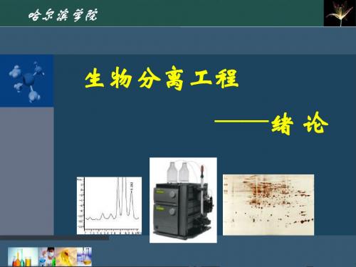 生物分离工程 第1章 绪论