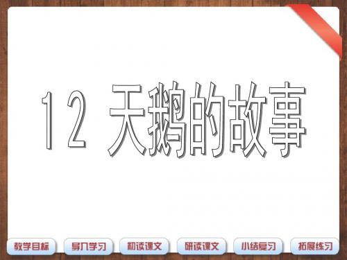 三年级上语文课件-天鹅的故事2-沪教版