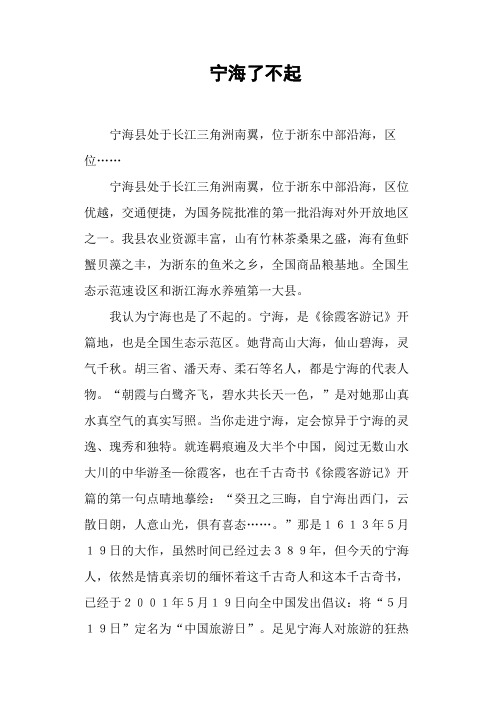 宁海了不起-作文