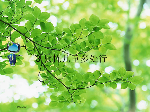 五年级语文下册 第一单元 3 只拣儿童多处行课文原文素材 