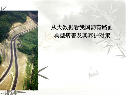 从大数据看我国沥青路面典型病害及其养护对策 PPT
