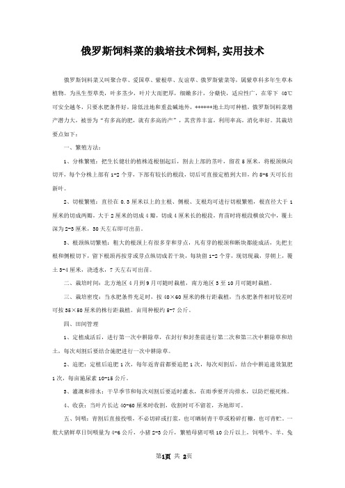俄罗斯饲料菜的栽培技术饲料,实用技术
