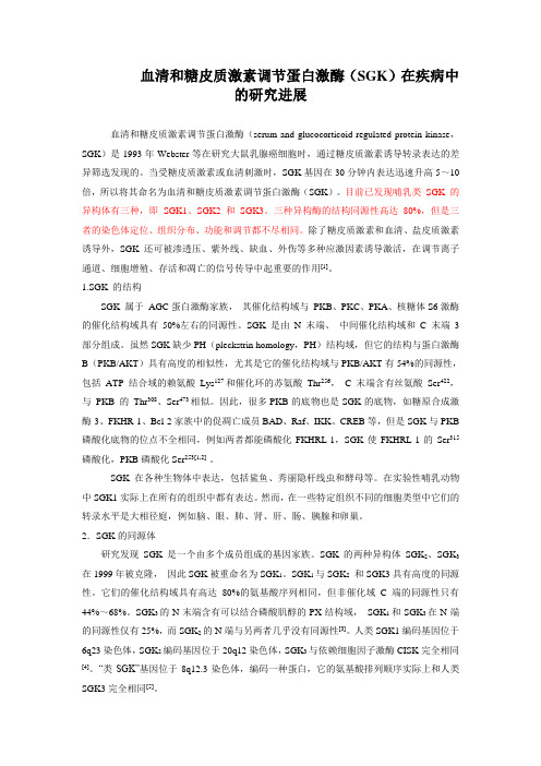 综述