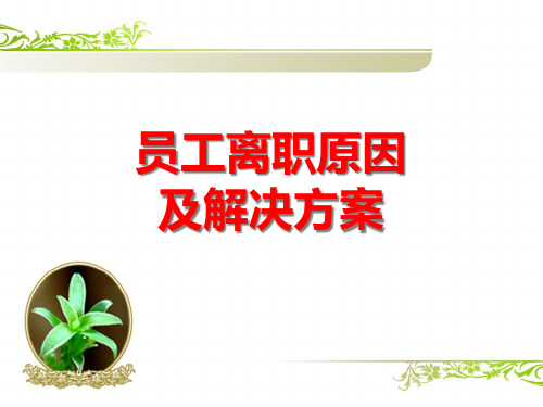 企业员工离职原因分析及解决方案精品PPT课件