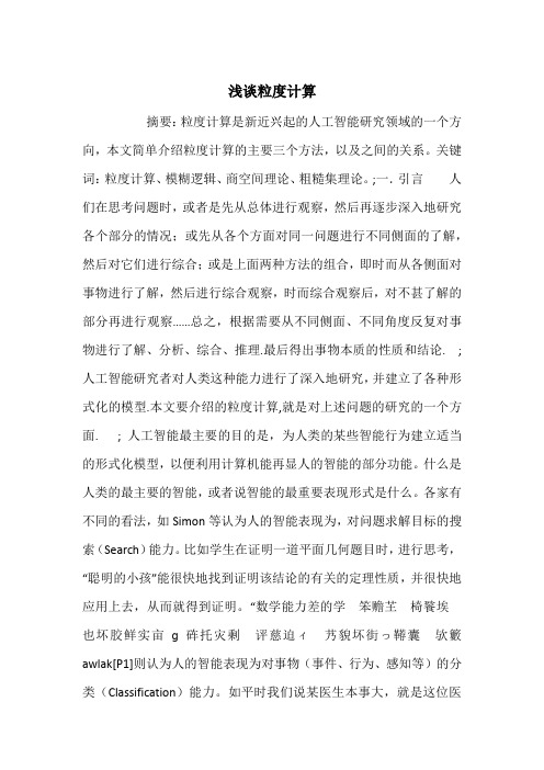 浅谈粒度计算