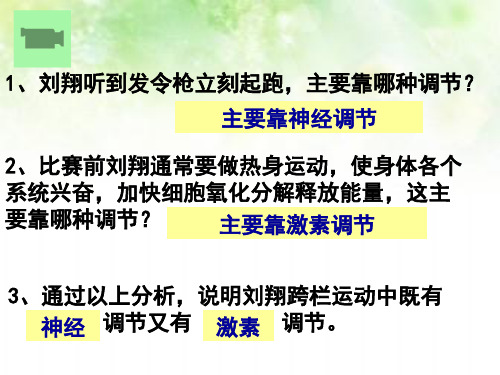 人教版高中生物必修三2.3神经调节和体液调节的关系 (共21张PPT)