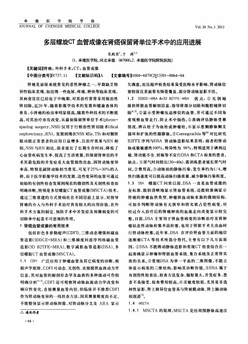 多层螺旋CT血管成像在肾癌保留肾单位手术中的应用进展