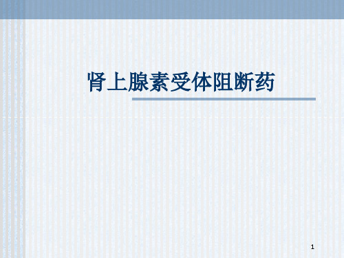 药理学肾上腺素受体阻断药PPT课件