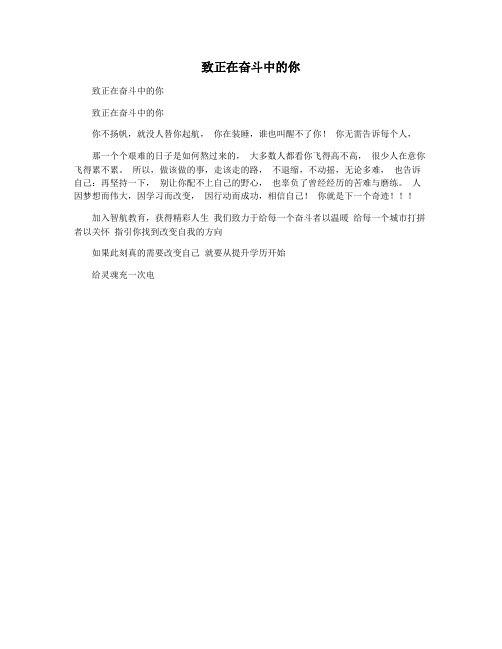 致正在奋斗中的你