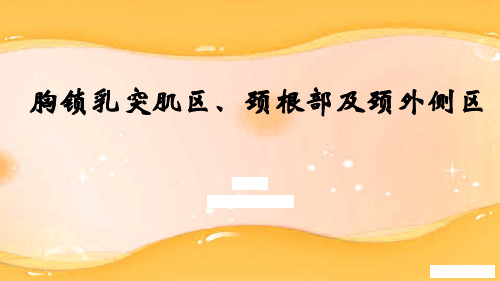 6.胸锁乳突肌区、颈根部及颈外侧区