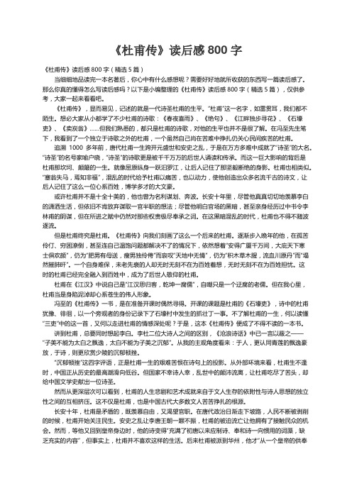 《杜甫传》读后感800字（精选5篇）
