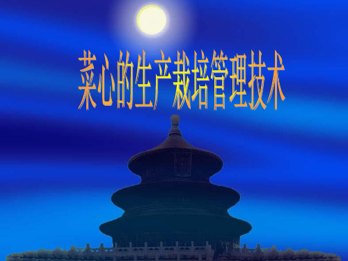 菜心的生长栽培管理技术