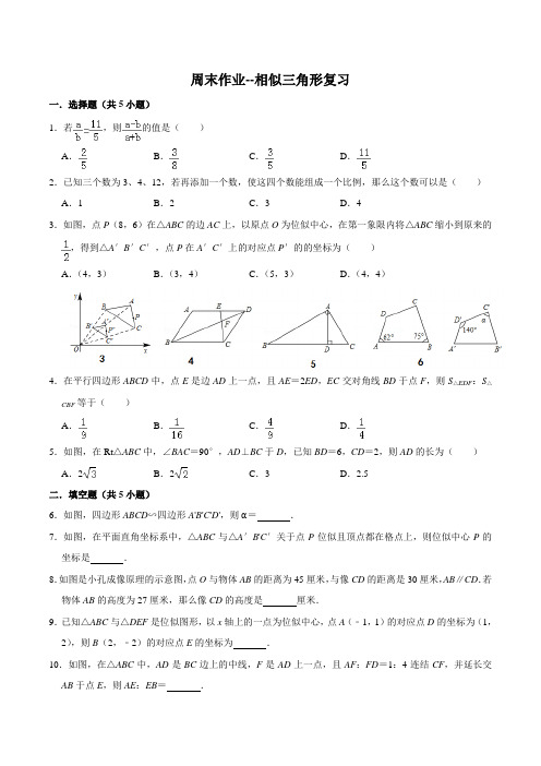 周末作业--相似三角形复习