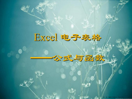 Excel公式与函数