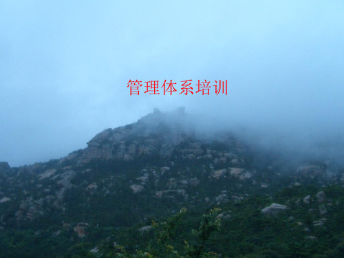 现代企业管理体系培训资料(ppt 83页)PPT学习课件