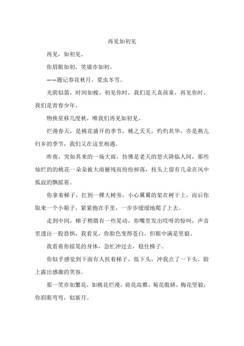 再见如初见--作文